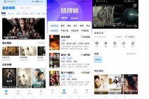 安卓壁虎视频v1.0.0去广告纯净绿色破解版