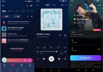 Music Player v1.02.115.1230 解锁会员版｜音乐播放器