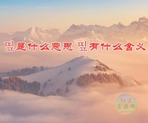 띺是什么意思 띺有什么含义