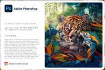 Adobe Photoshop 2024(图像处理工具内置AI神经滤镜)v25.2.0.196 绿色破解版