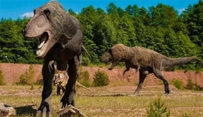 如果恐龙突然复活，以人类文明目前的科技，会不会被恐龙灭绝？ 第2张