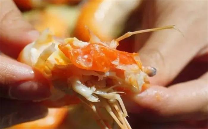 “虾线”不是粪便，“虾黄”才是虾的粪便？我们能吃虾黄吗？