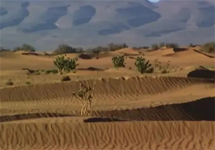 沙漠里的沙子那么多，为什么不拿来盖房子？老外用实验告诉你！