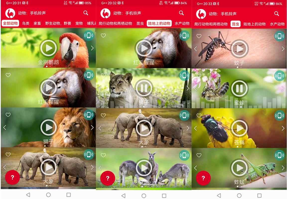 安卓动物手机铃声v17.5去广告高级版/享受大自然的声音
