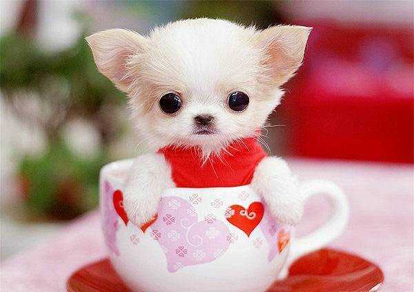 开心一刻笑话:今天相亲,服务员水没端稳,直接泼在女方脸上!